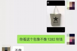 郓城遇到恶意拖欠？专业追讨公司帮您解决烦恼